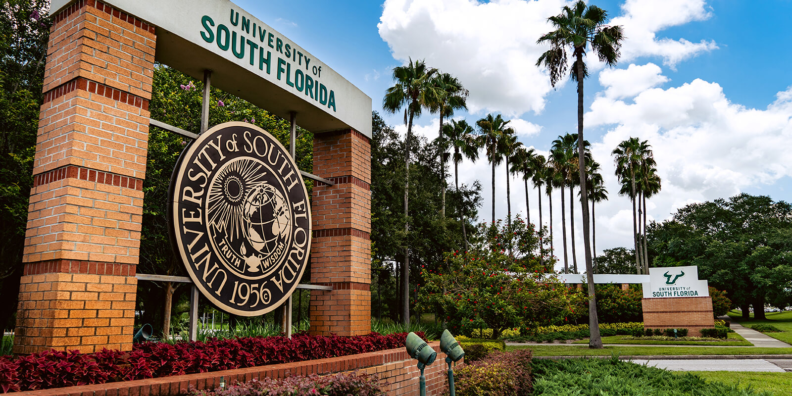 USF Bull statue on the Sarasota-Manatee campus