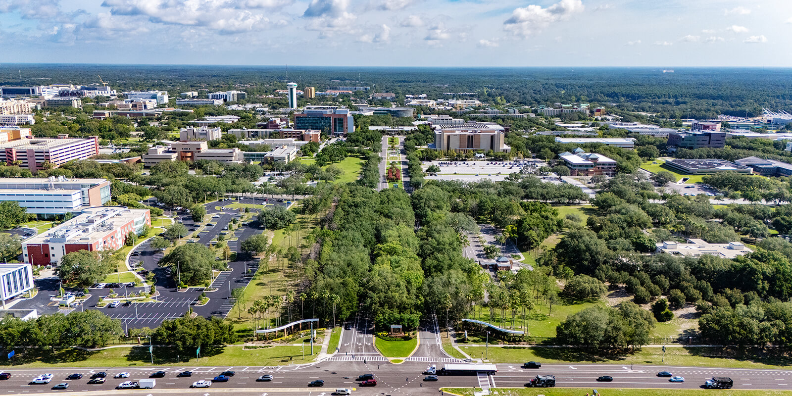 Impact USF
