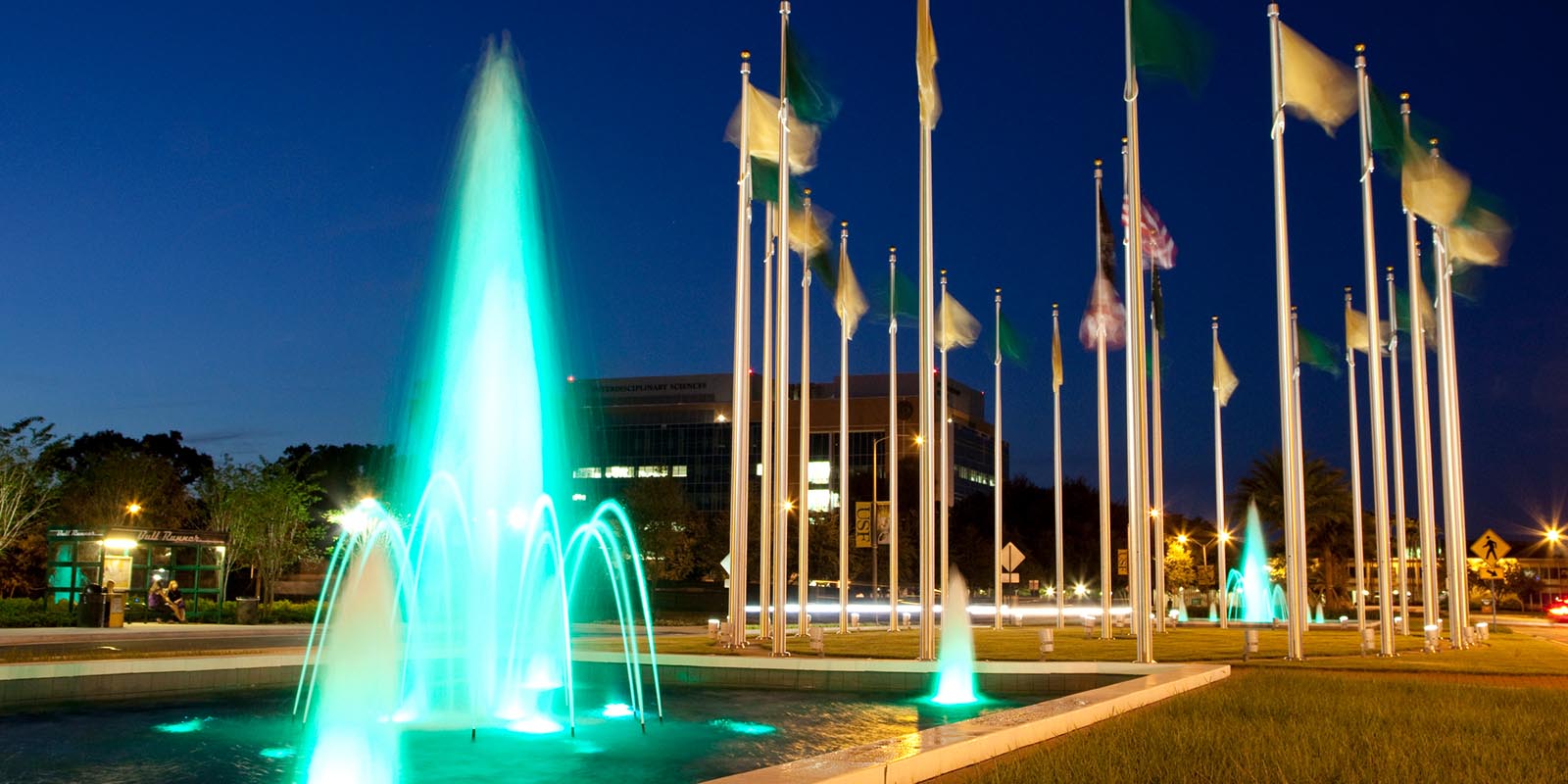 USF Tampa Entrance Flags