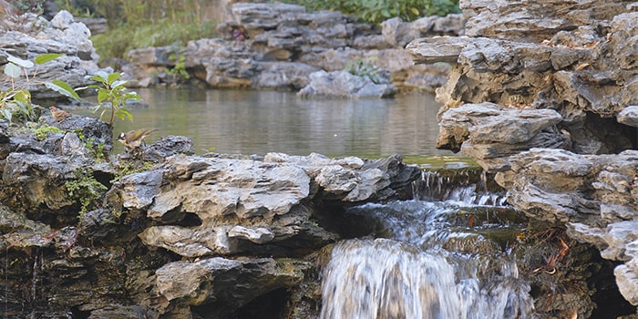 Water Feature