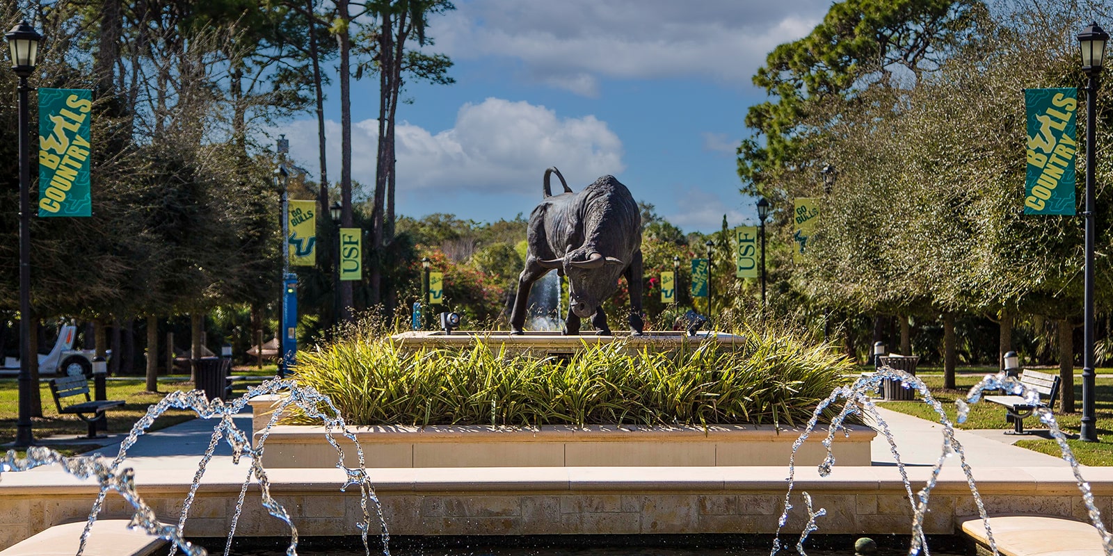 USF Bull statue on the Sarasota-Manatee campus